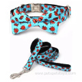 cute personalized dog collar and leash set